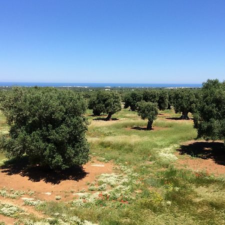 Masseria Capece Pezze Di Greco Extérieur photo