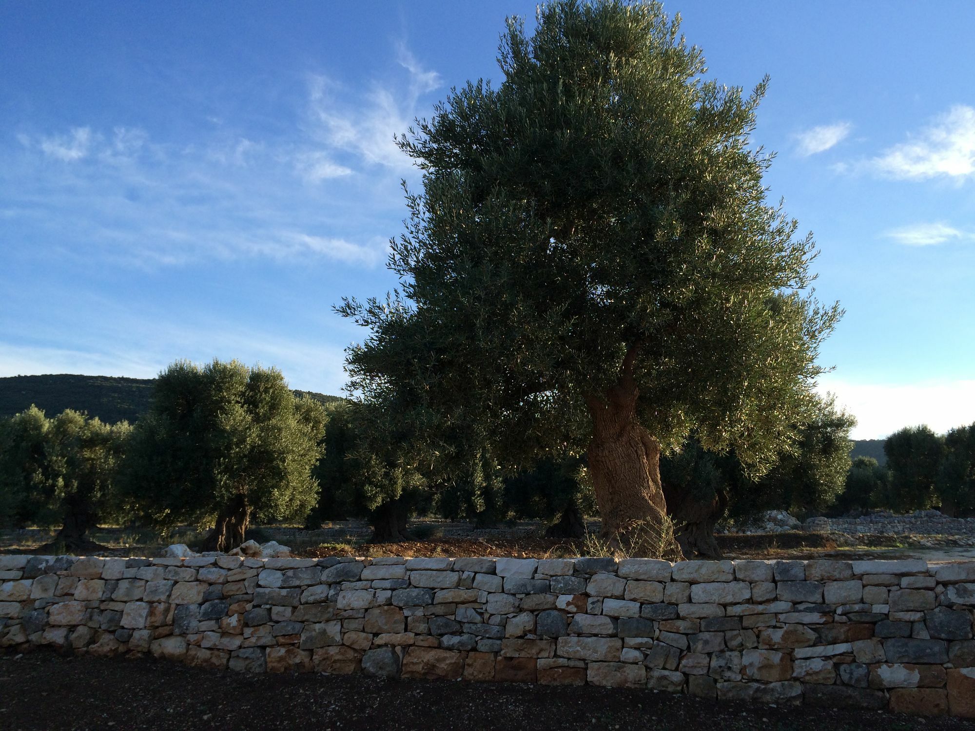 Masseria Capece Pezze Di Greco Extérieur photo