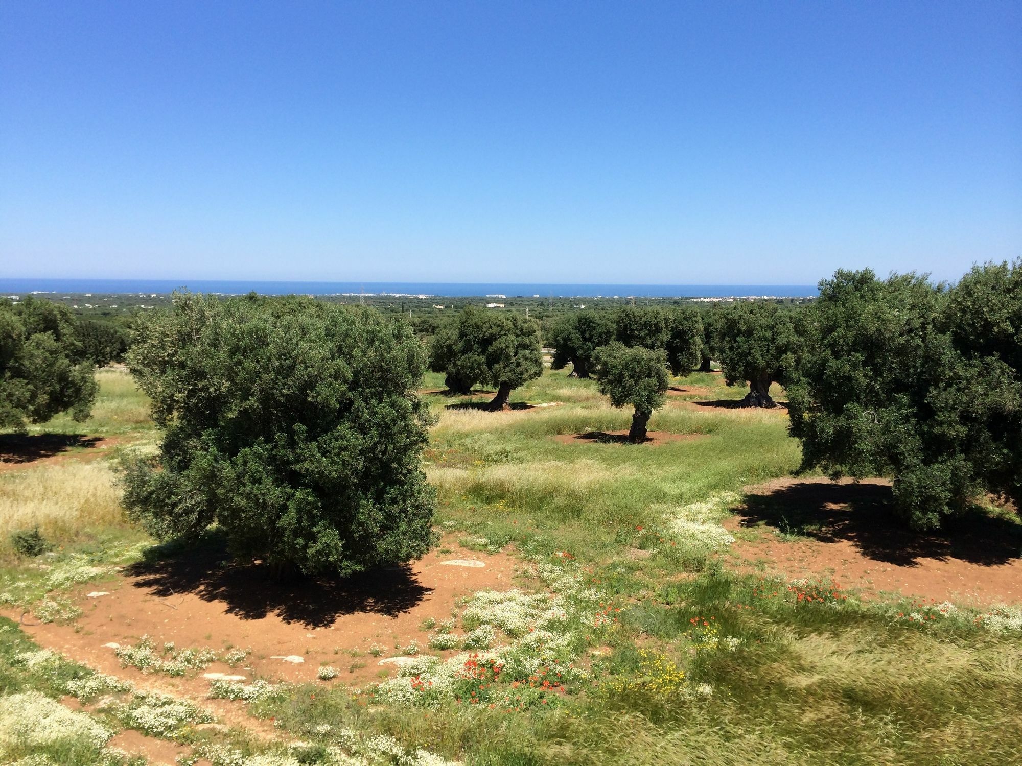 Masseria Capece Pezze Di Greco Extérieur photo