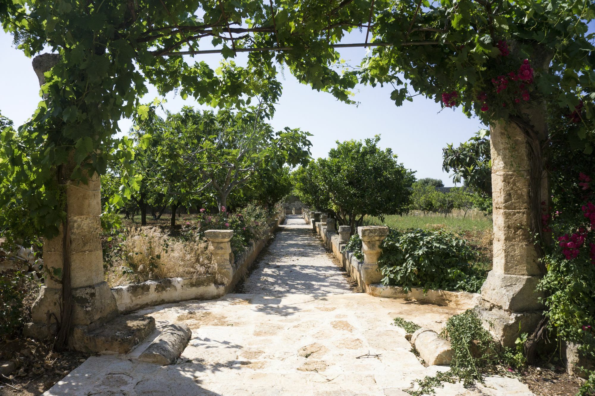 Masseria Capece Pezze Di Greco Extérieur photo